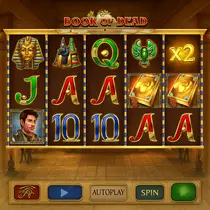 Coolzino - Book of Dead Slot Game - Online Pokies